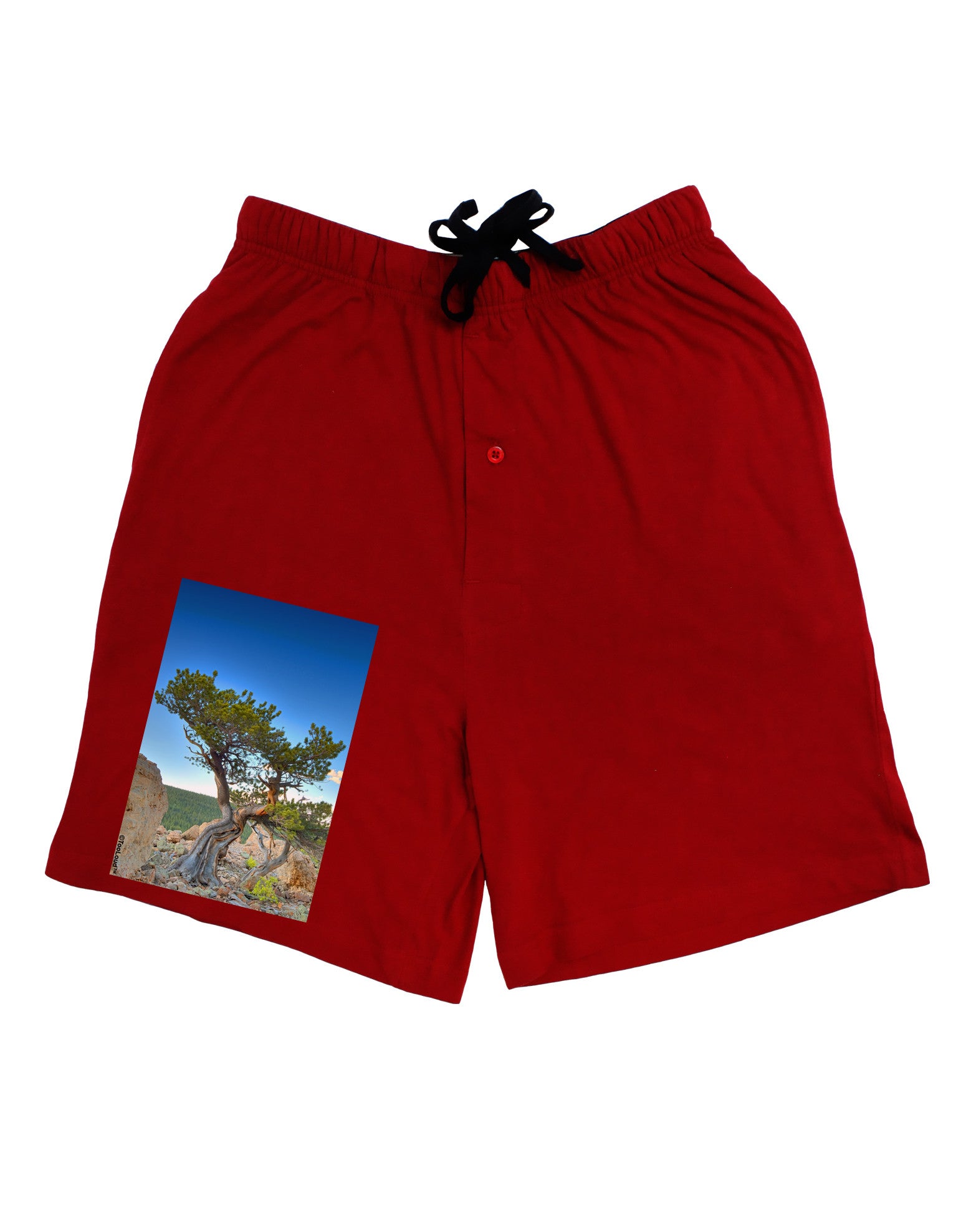 Colorado Landscape Tree Adult Lounge Shorts